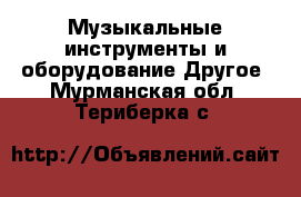 Музыкальные инструменты и оборудование Другое. Мурманская обл.,Териберка с.